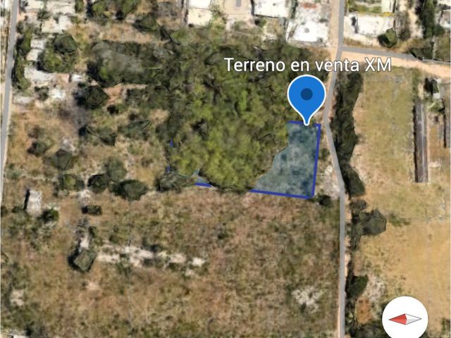 place photo 7