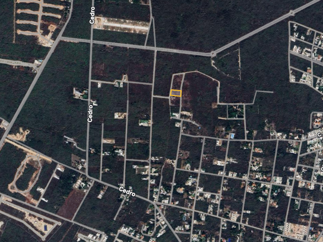 place photo 12