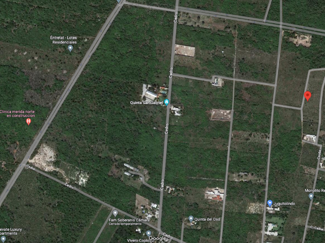 place photo 13