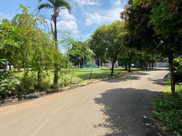 place photo 23