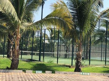 place photo 18