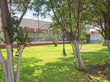 place photo 16