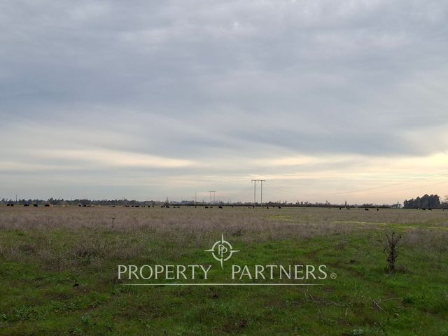 place photo 39