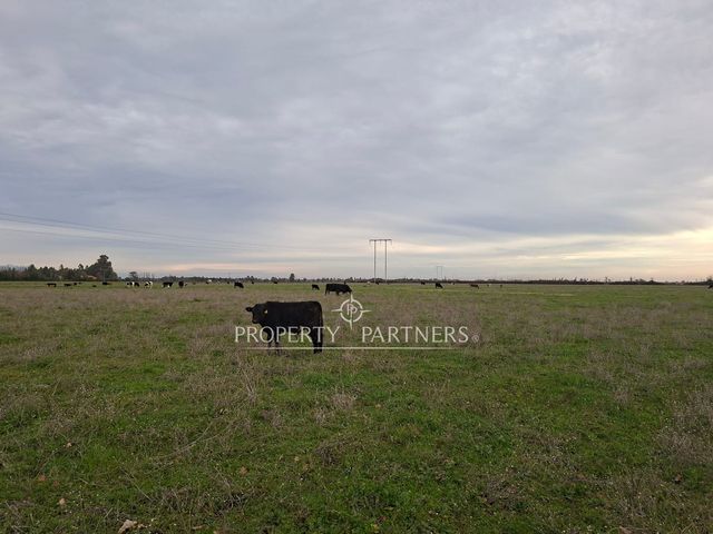 place photo 27