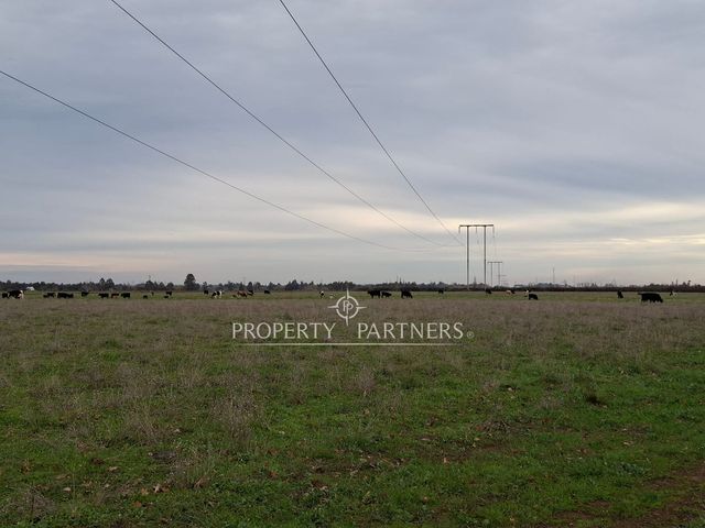 place photo 28