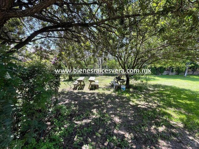 place photo 44