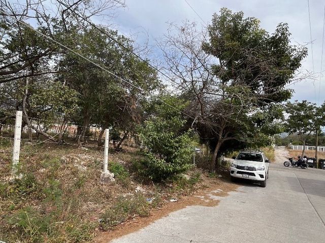 place photo 14