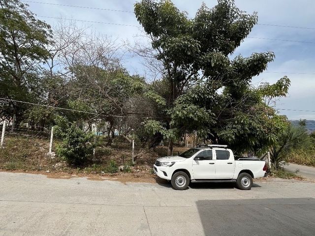 place photo 13