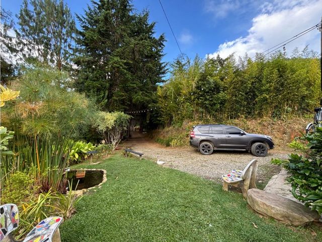 place photo 46