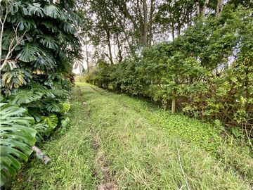 place photo 66