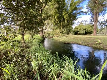 place photo 52