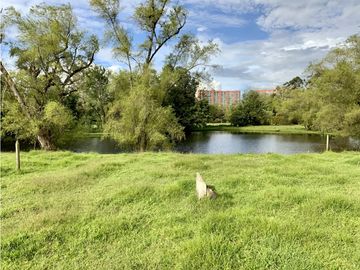 place photo 53