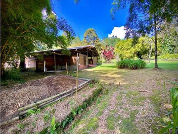 place photo 68