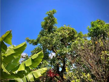 place photo 58