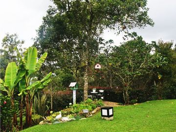 place photo 64