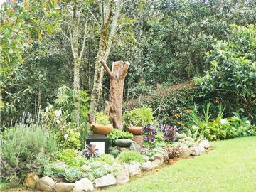 place photo 61