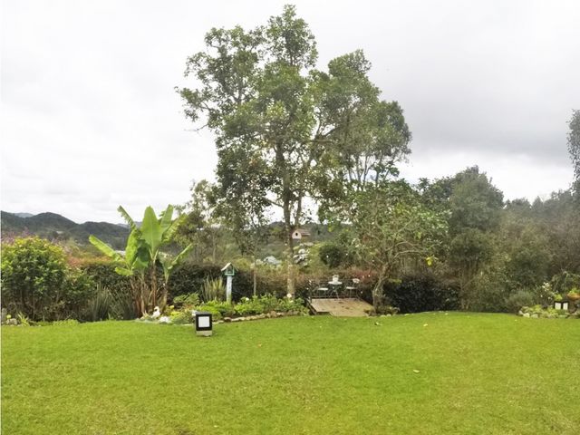 place photo 63