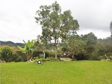 place photo 63