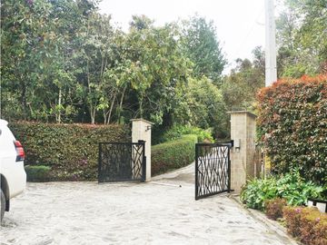 place photo 56
