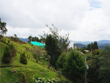 place photo 64