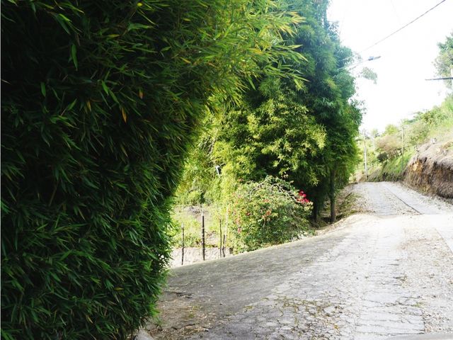 place photo 50