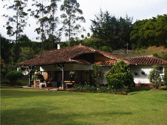 place photo 48