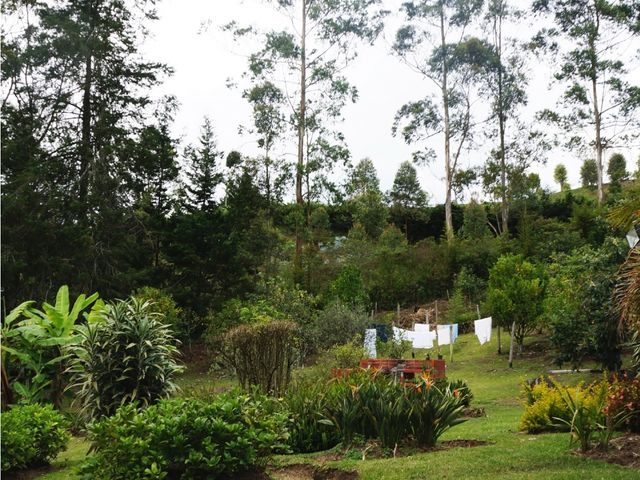 place photo 53