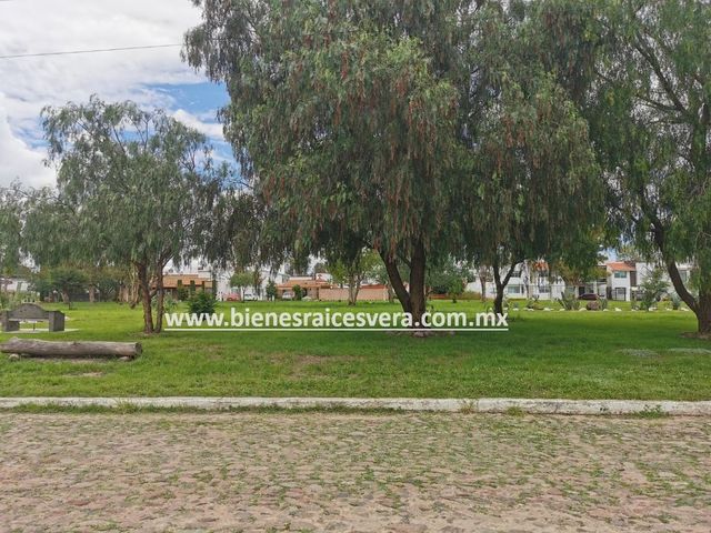 place photo 32