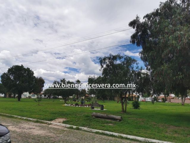 place photo 31