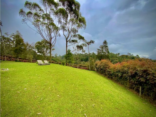 place photo 53