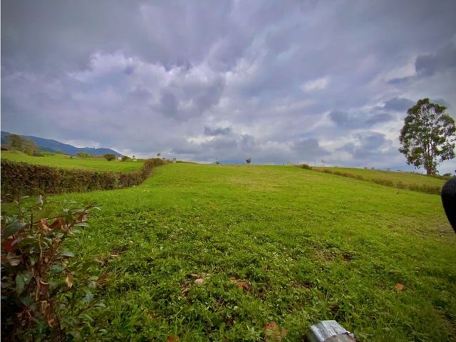 place photo 77