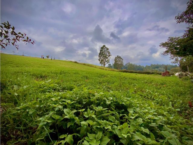 place photo 76