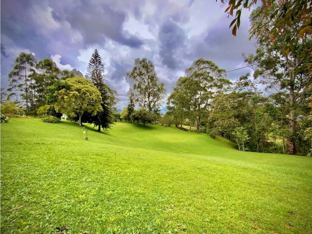 place photo 56