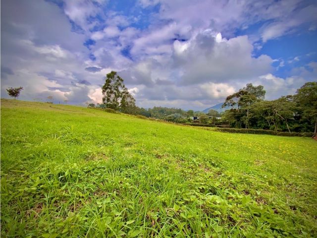 place photo 58