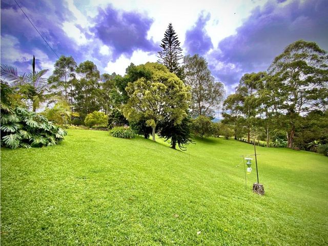 place photo 53