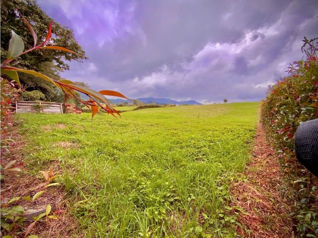 place photo 71