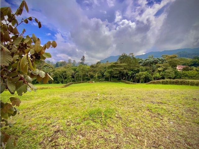 place photo 61