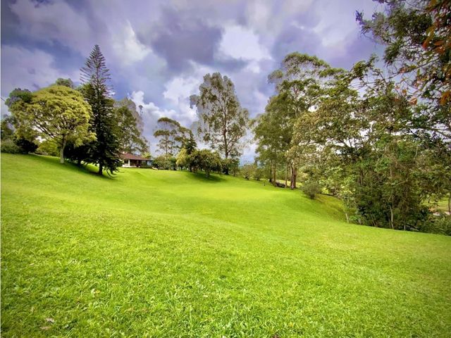 place photo 59