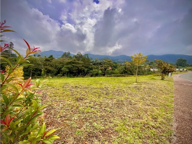 place photo 63