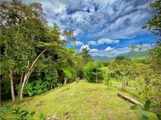 place photo 66