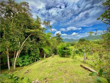 place photo 66