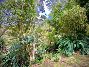place photo 58