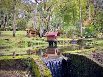 place photo 57
