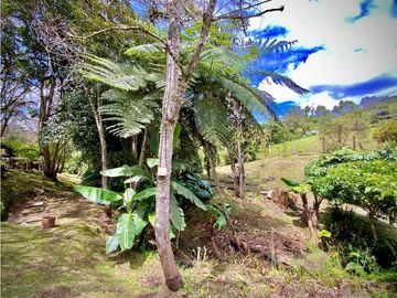 place photo 59