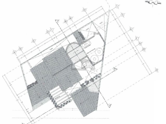 place photo 57