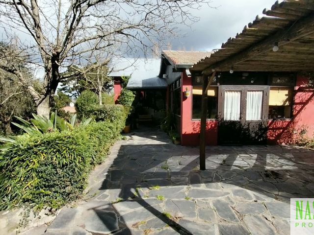 place photo 49