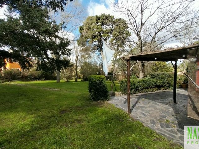 place photo 51