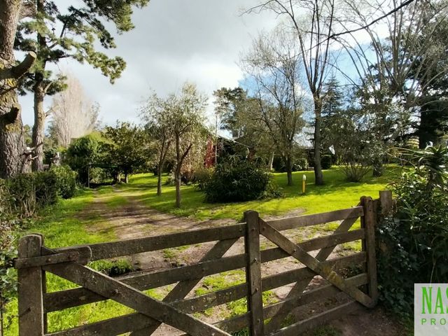 place photo 55