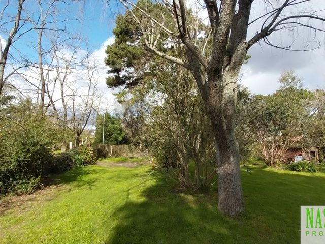 place photo 53