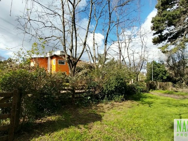 place photo 54